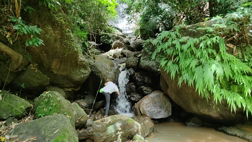 chingri jhorna