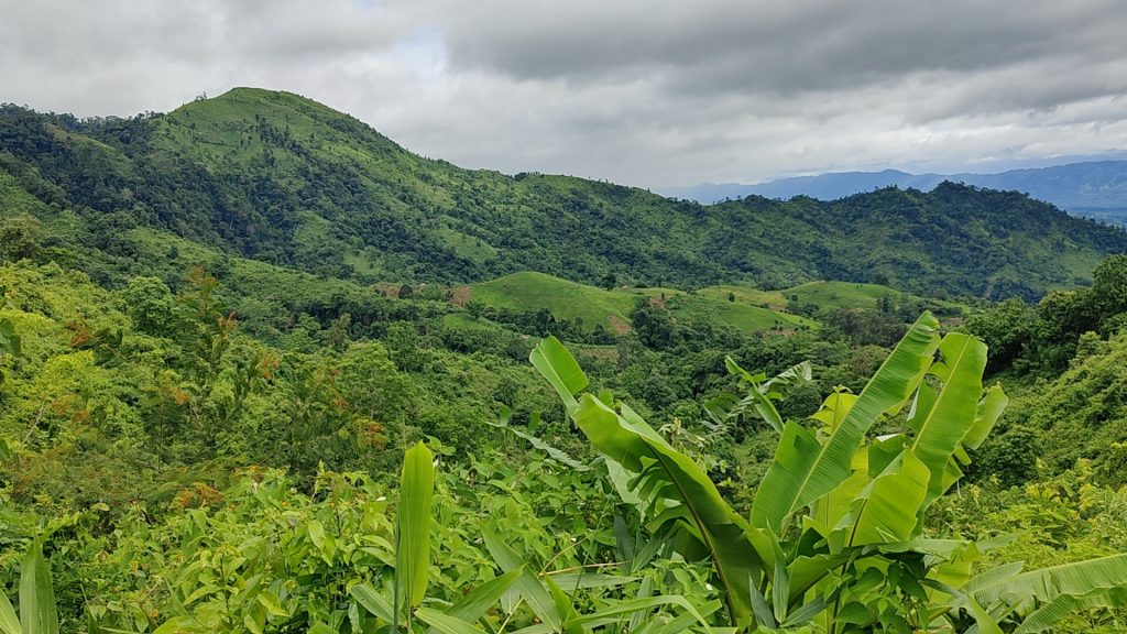 bogalek to kewcradang