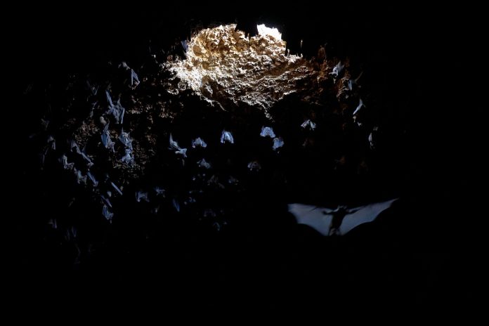 WhatsApp Image 2025-10-28 at 2.39.36 PM ইসরায়েলে ১ লক্ষ বছরের পুরনো সমাধিক্ষেত্র আবিষ্কার