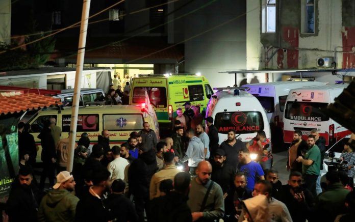 WhatsApp Image 2025-11-18 at 9.11.39 PM লেবাননে ফিলিস্তিনি শরণার্থী শিবিরে ইসরায়েলি হামলায় নিহত কমপক্ষে ১৩ জন